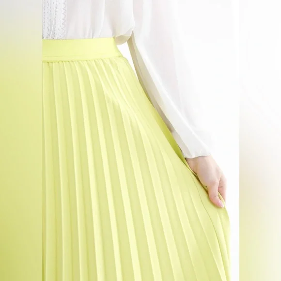 G-Line Women’s Pistachio Green Pleated Maxi Skirt with Elastic Waist Band - Picture 5 of 6